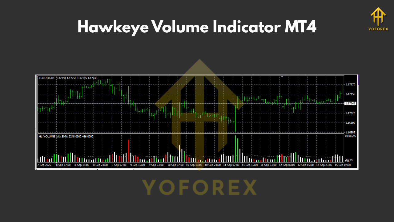 Hawkeye Volume Indicator MT4