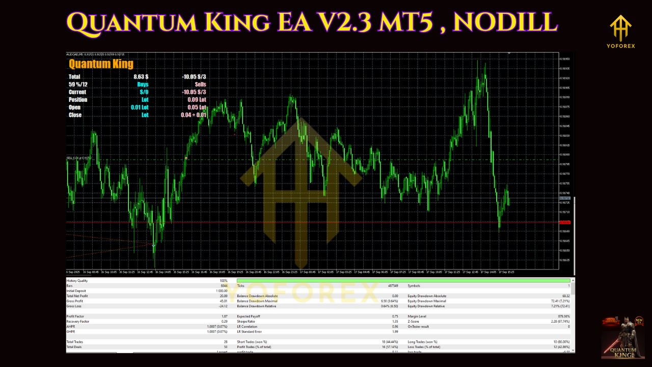 Quantum King EA V2.3 MT5 , NODILL