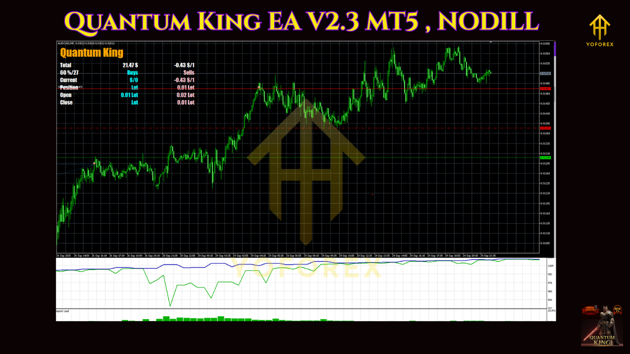 Quantum King EA V2.3 MT5 , NODILL