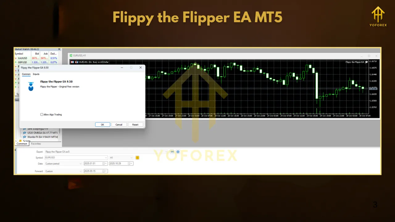Flippy the Flipper EA V2.0 MT5 2 TEAM SEO 3 8