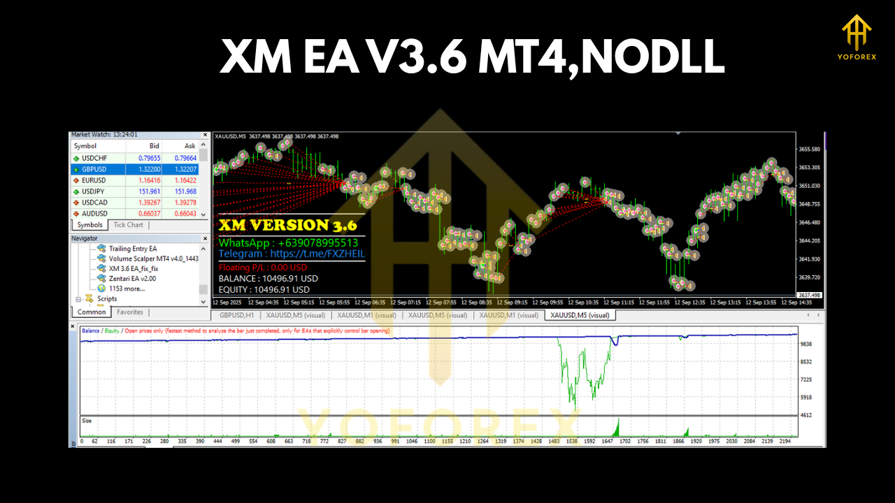 XM EA V3.6 MT4 3 XM EA V3.6 MT4