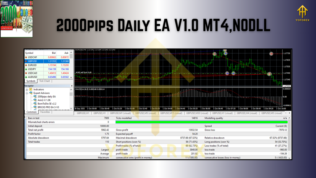 2000pips Daily EA V1.0 MT4