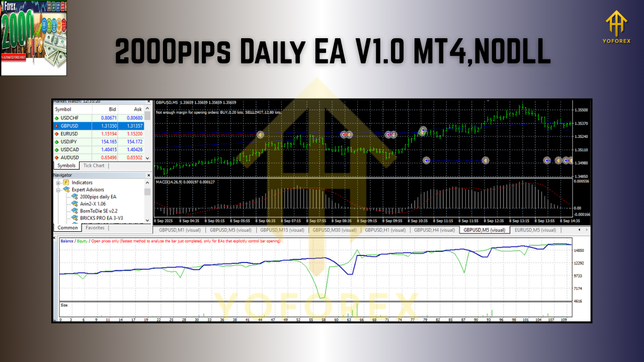 2000pips Daily EA V1.0 MT4