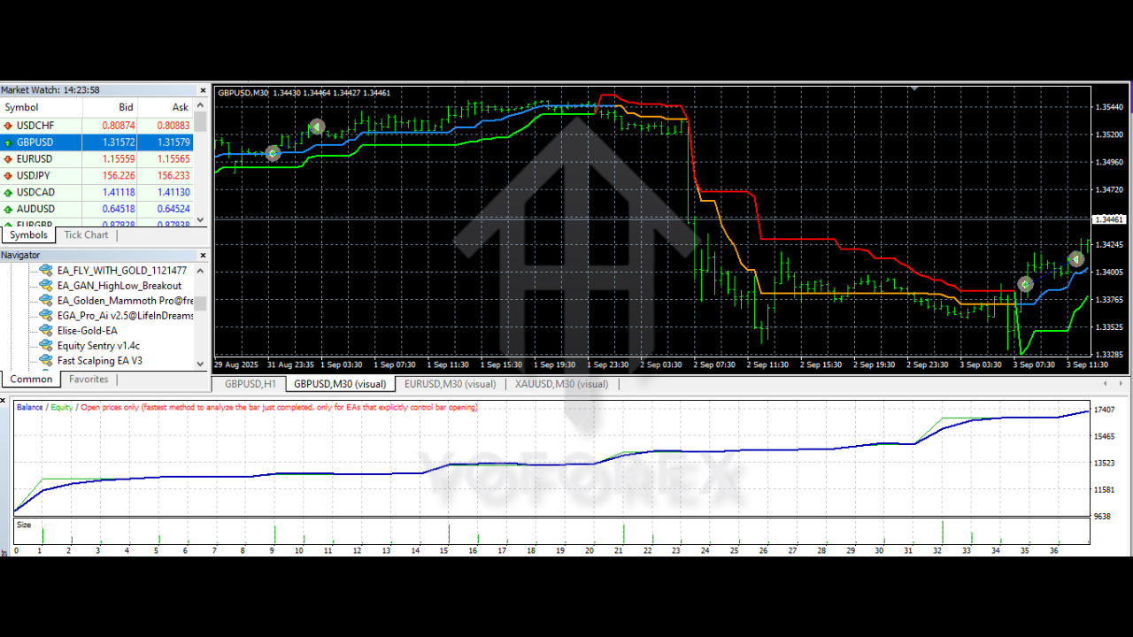 EA Golden Mammoth Pro V8.0 MT4