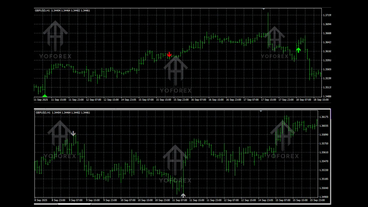 	LITOPIPS Indicators V1.0 MT4