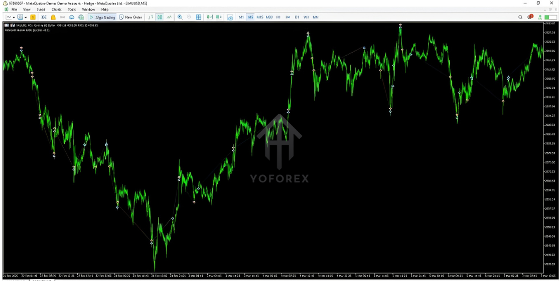 FS Gold Hacker EA V1.0 MT5