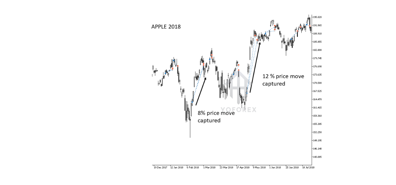 Timeless Trend Trading EA V1.0 MT5