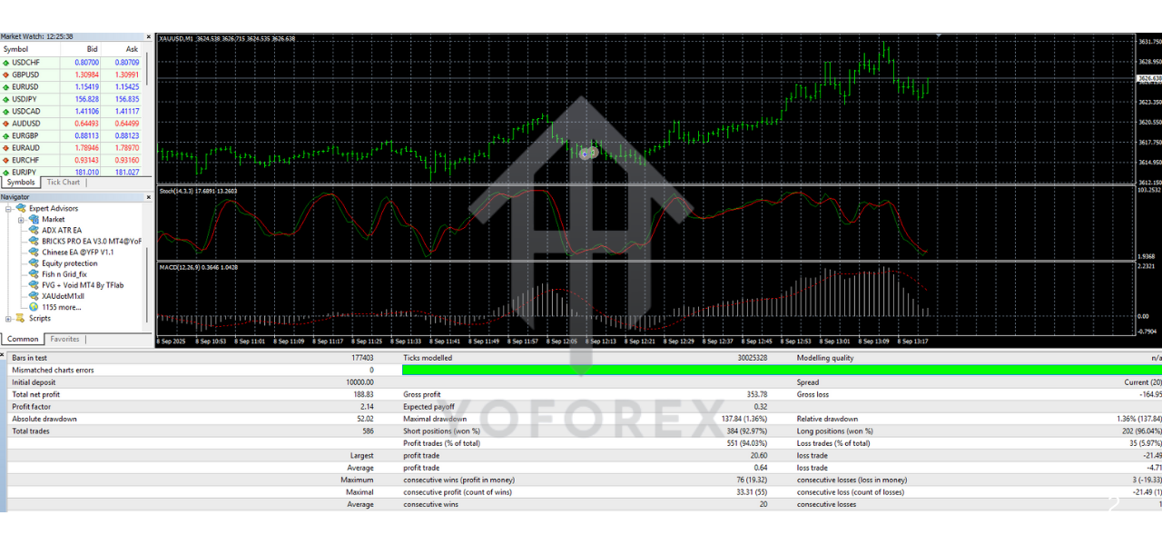 TEAM SEO 1280 x 600 px 1