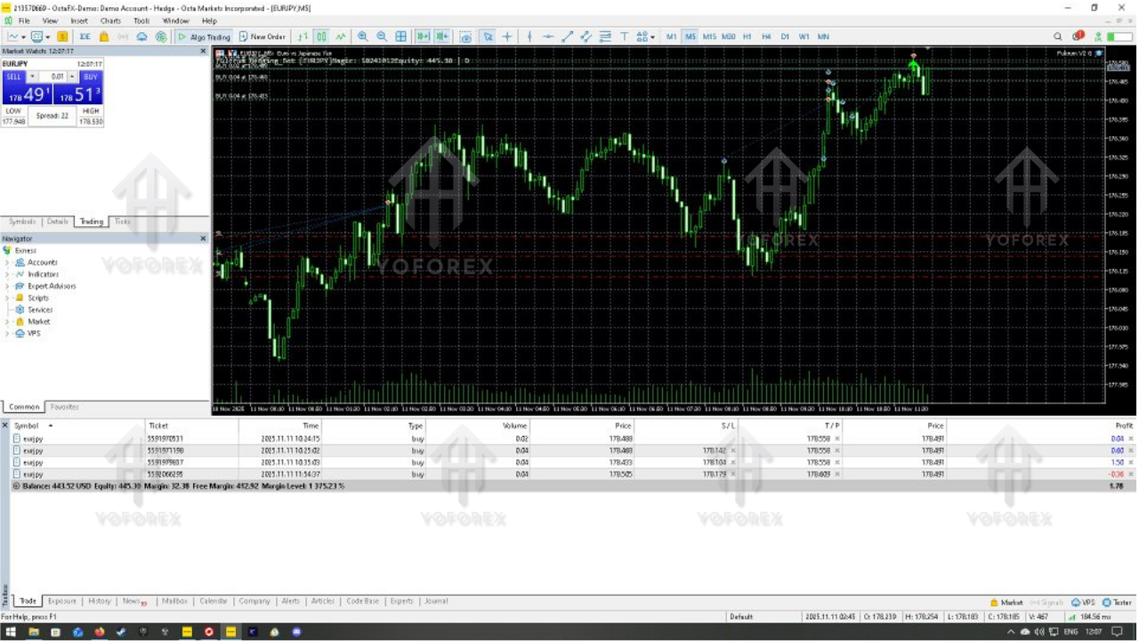 The Fulcrum EA V5.24 MT5
