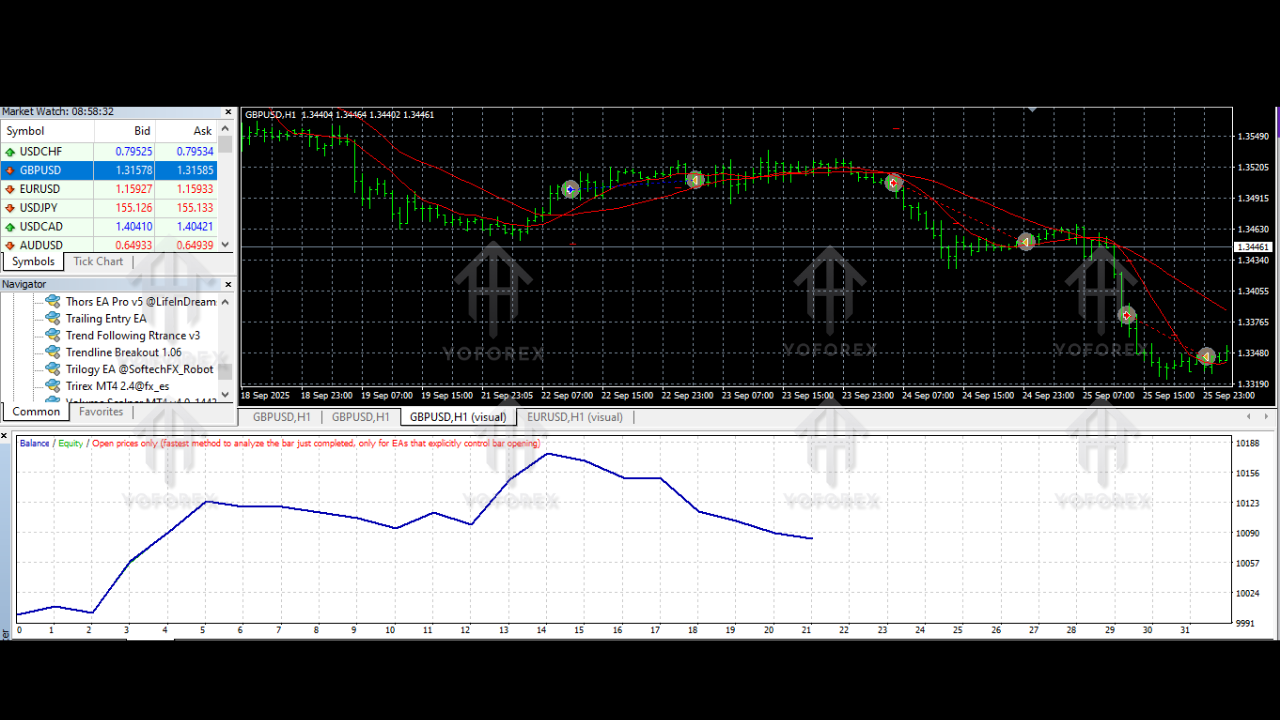 Trend Following Rtrance EA V1.10 MT4