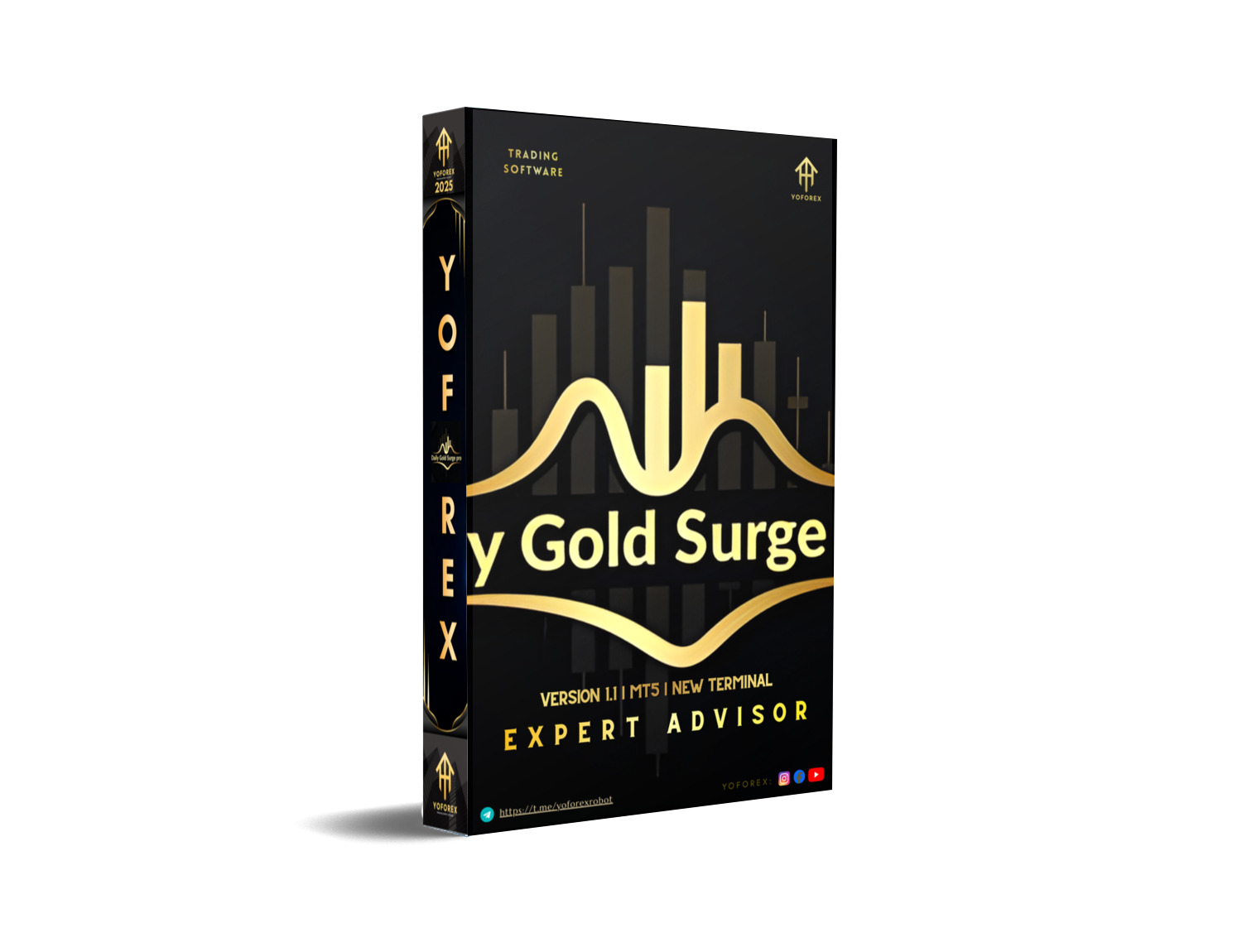 DailyGold Surge EA V1.1 MT5