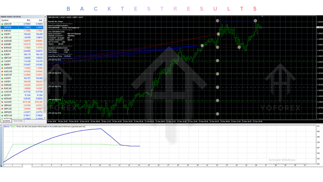 Beautiful Bby Hedge EA V1.0 MT4