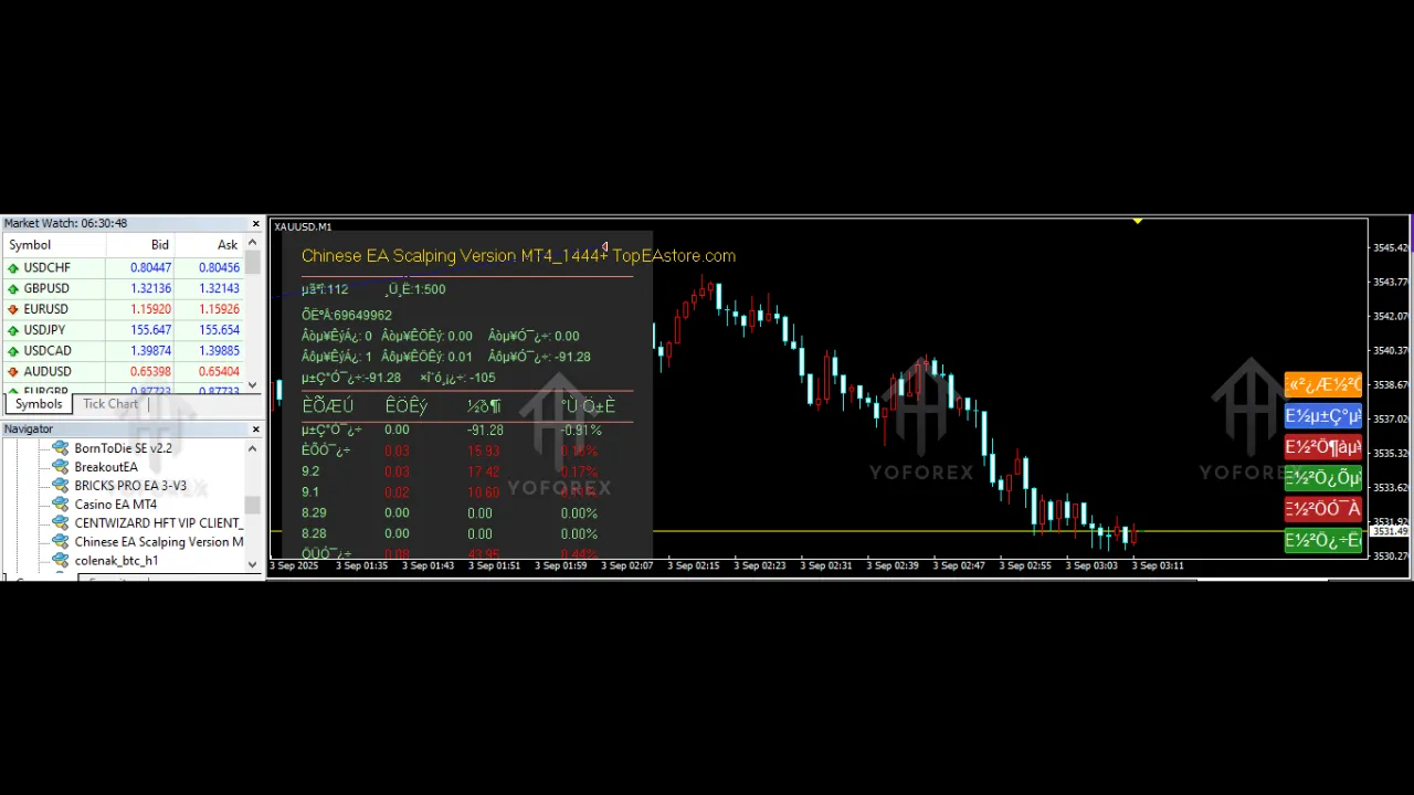 Chinese EA Scalping Version V 1.0 MT4