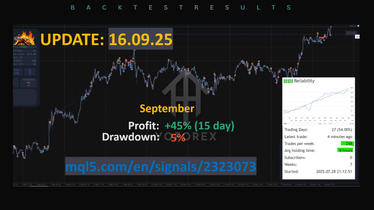 Mad Turtle EA V6.5 MT5