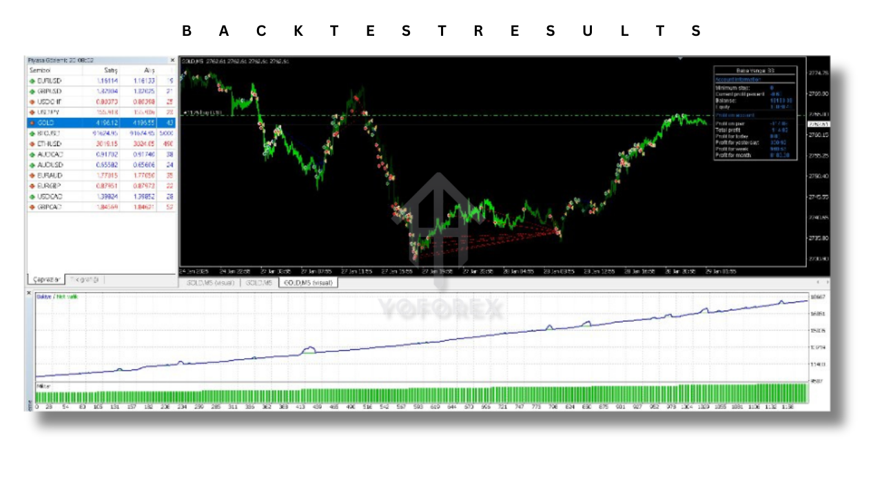 Baba Vanga SS EA V3.0 MT4