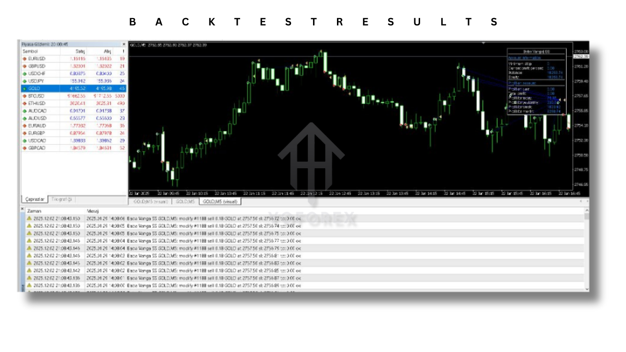 Baba Vanga SS EA V3.0 MT4