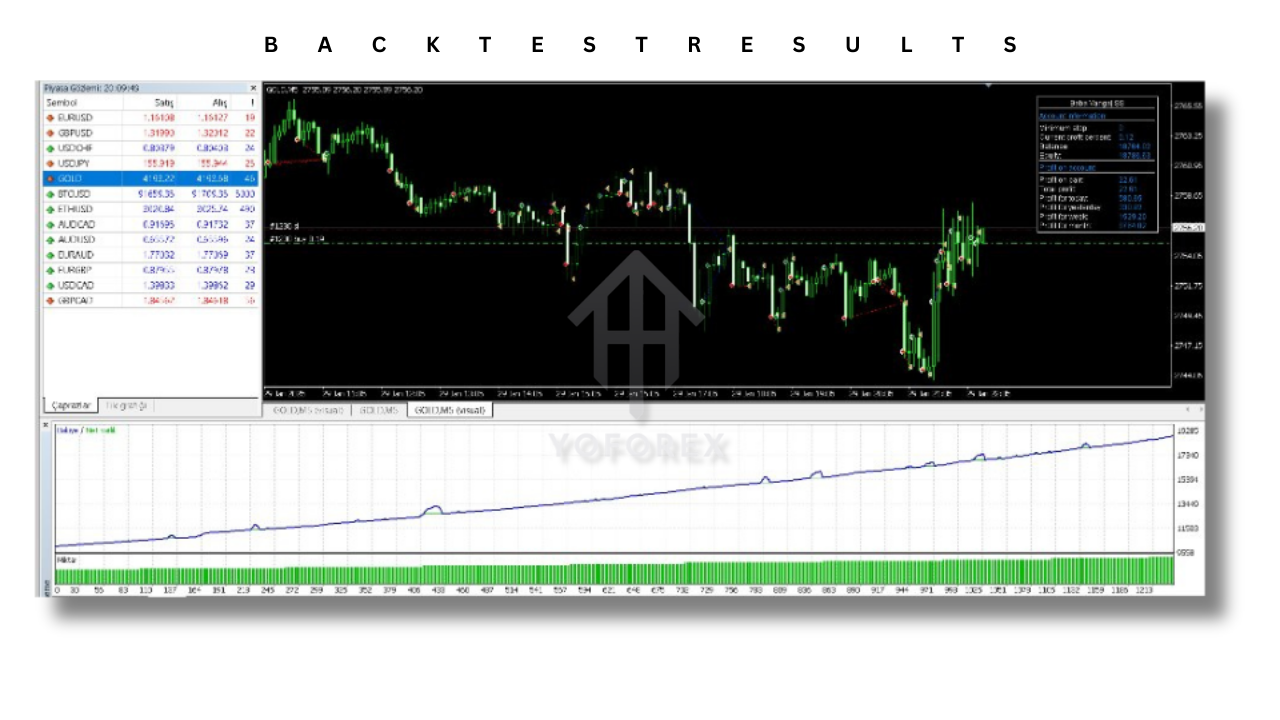 Baba Vanga SS EA V3.0 MT4