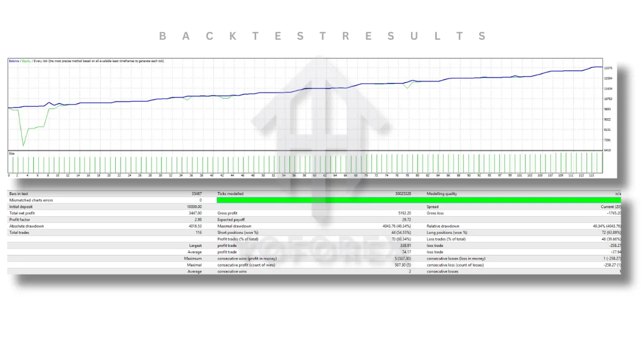 TEAM SEO 28