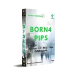 BORN4PIPS EA V1.0 MT5