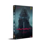 Buffer Trading Pro Indicator V60.10 MT5