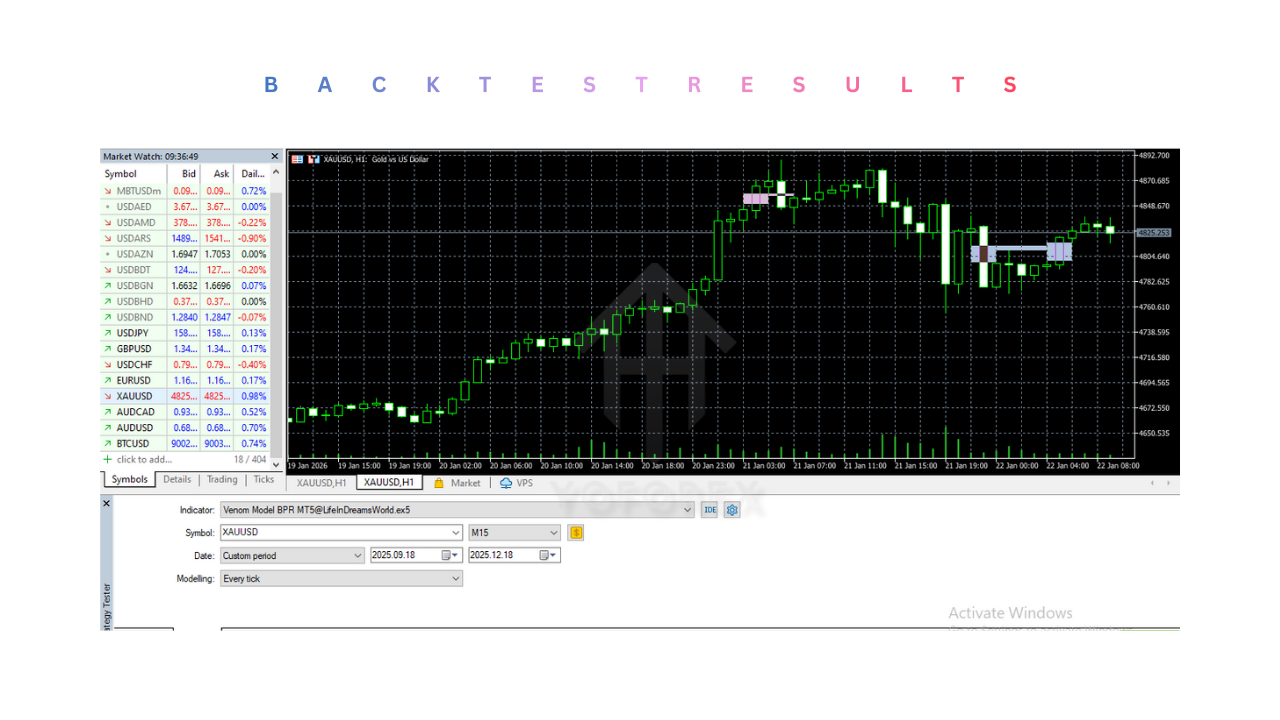 Venom Model BPR Indicator V1.0 MT5