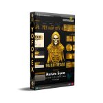 Aurum Syna EA V1.10 MT4