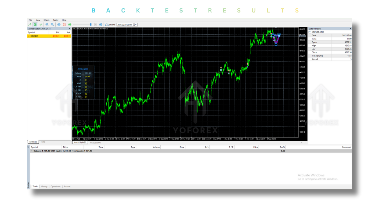 NTRon 2OOO EA V2.60 MT5