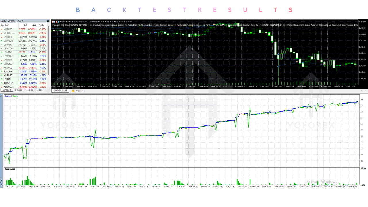 Quantum King EA V3.1 MT5