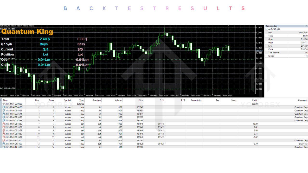 Quantum King EA V3.1 MT5