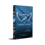 Forex Angels EA V2.4 MT4