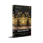 Quant Gold TOP EA V1.1 MT4