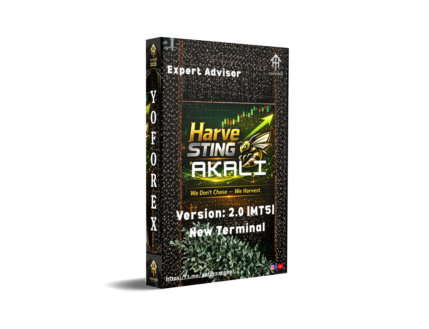 HarveSTING X EA V2.0 MT5 101 HarveSTING X EA V2.0 MT5