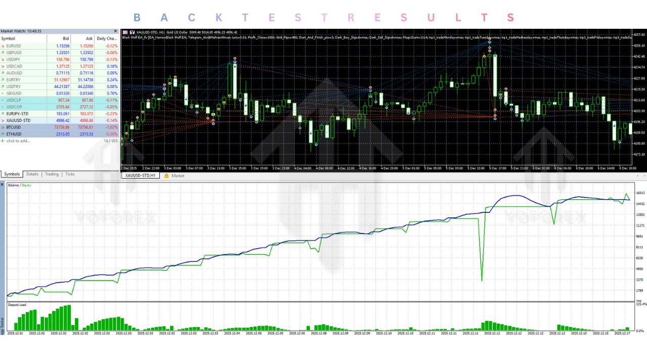 Black Wolf EA V2.16 MT5