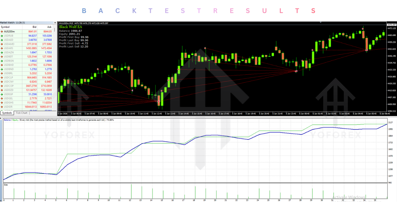 Black Wolf EA V2.13 MT4