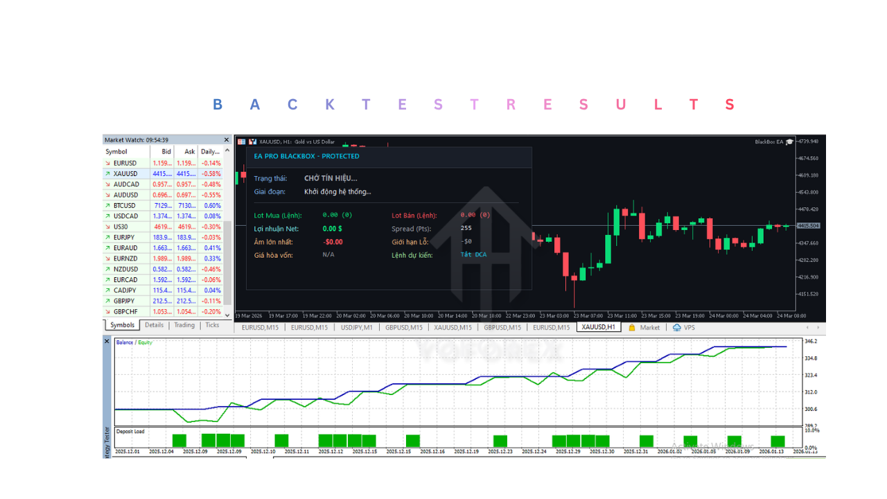 BlackBox EA V2.01 MT5