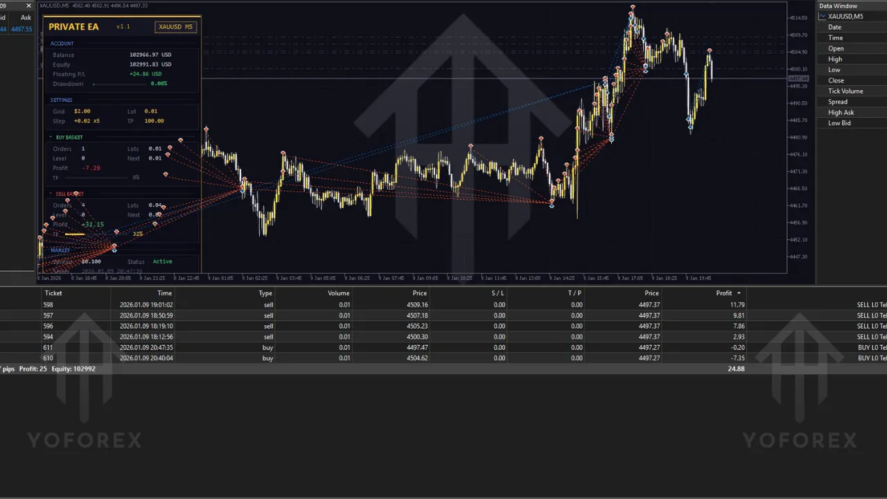 Private EA V1.1 MT5 3 Private EA V1.1