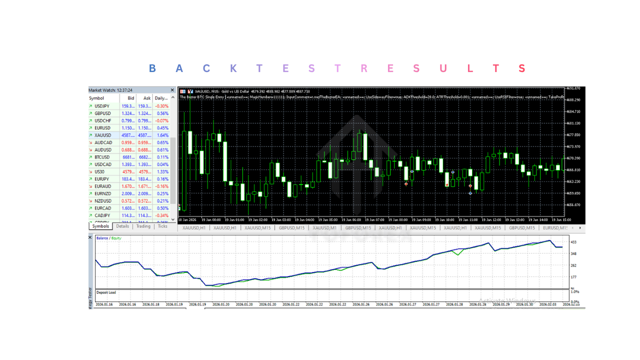 The Buster BTC Single Entry EA V1.24 MT5&nbsp;