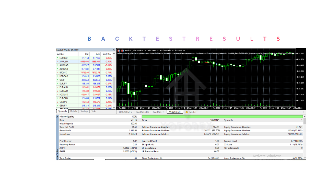 AdaptiveStartegy EA V1.01 MT5