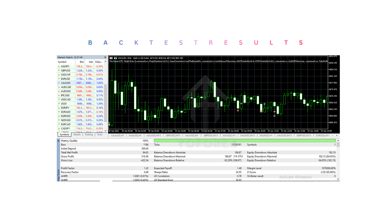 The Buster BTC Single Entry EA V1.24 MT5&nbsp;