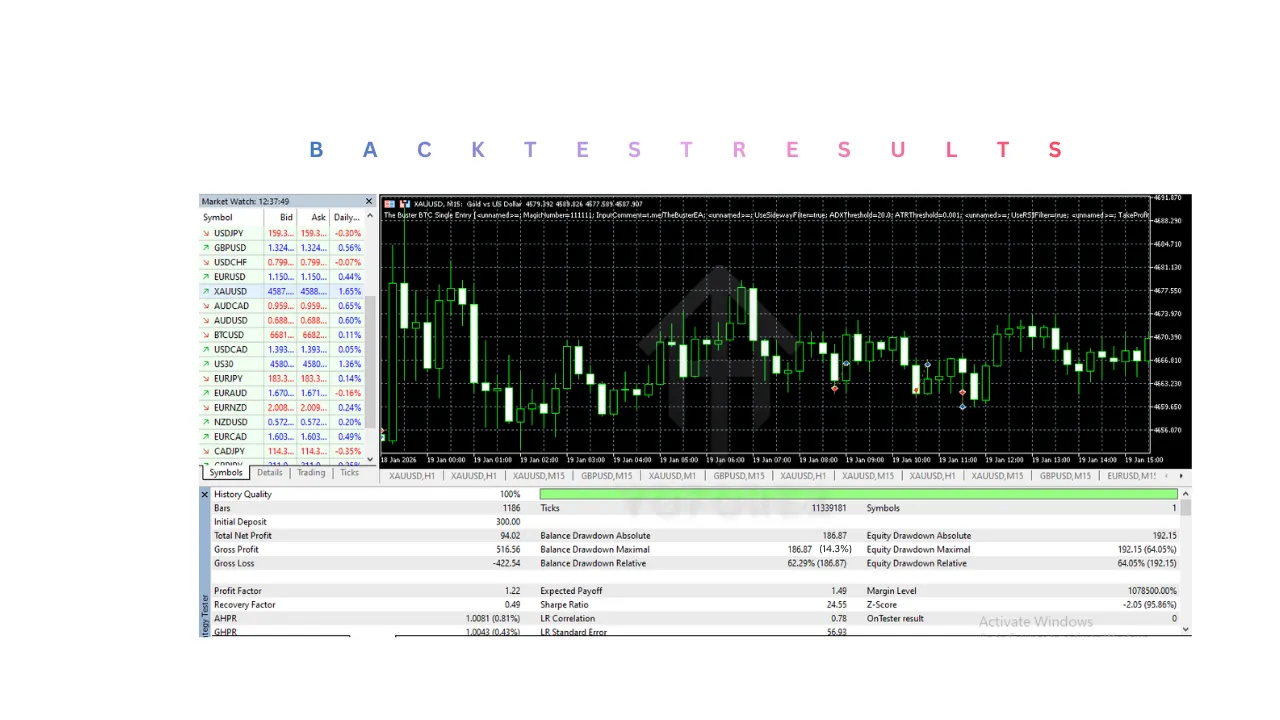 The Buster BTC Single Entry EA V1.24 MT5&nbsp;