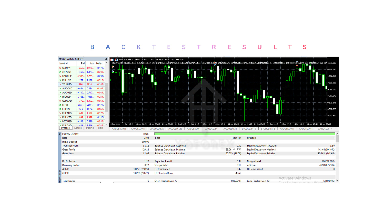 TeleBoy Gold EA V2.3 MT5