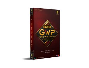 GridWise Prop EA V1.0 MT5
