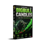 BIGBULL CANDLES Indicator V1.0 MT5