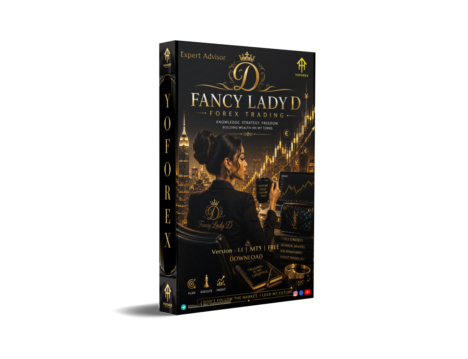 Lady Fancy D EA V1.1 MT5 102 Lady Fancy D EA V1.1 MT5