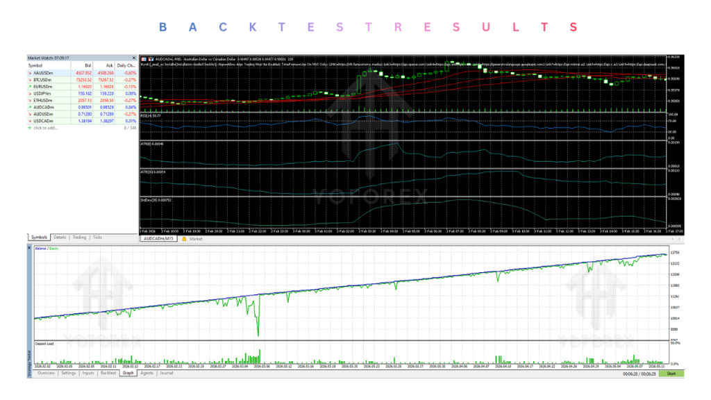 Byrdi EA V1.5 MT5