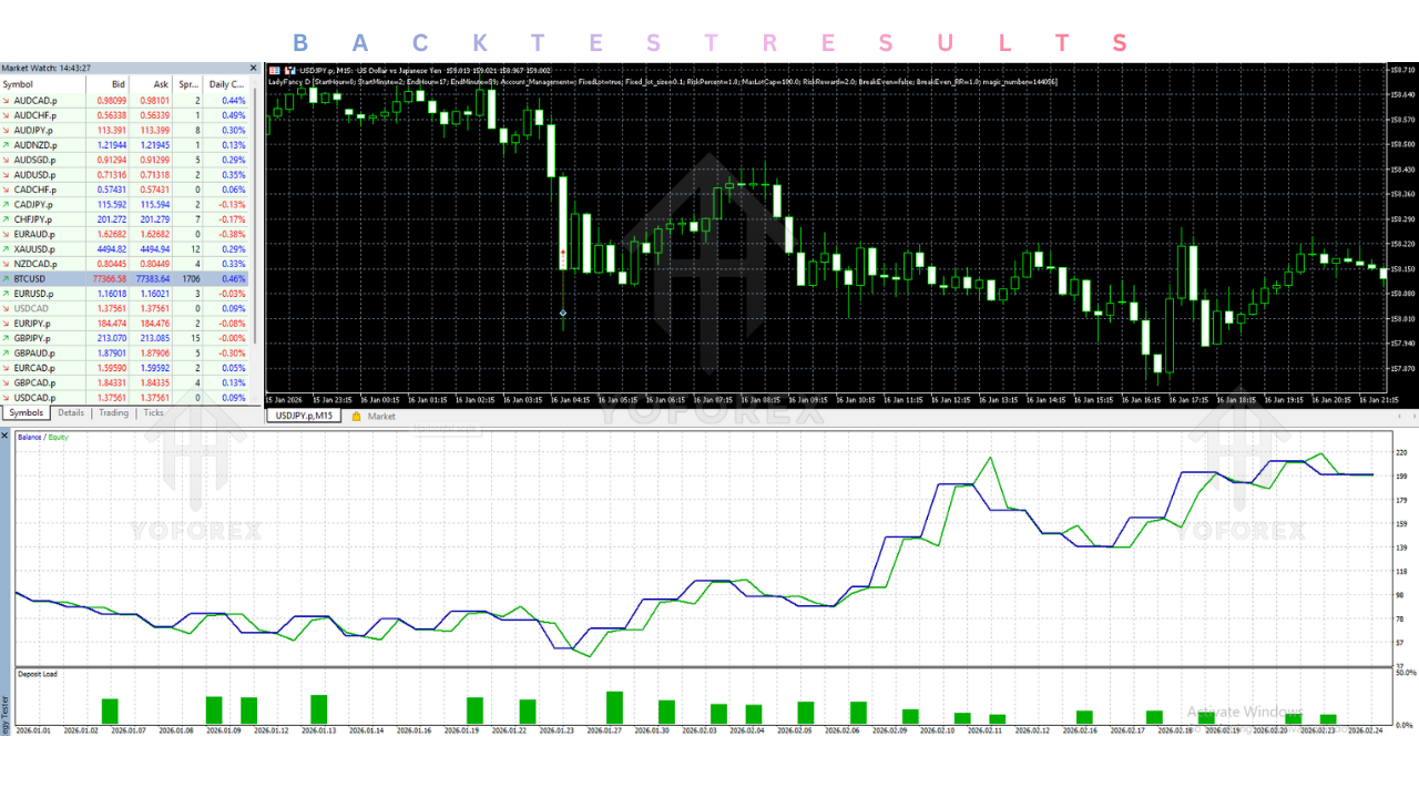 Lady Fancy D EA V1.1 MT5 3 Lady Fancy D EA V1.1 MT5