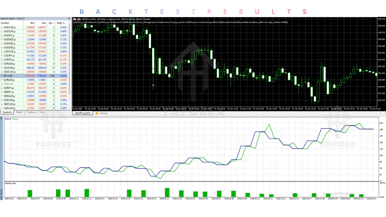 Lady Fancy D EA V1.1 MT5 3 Lady Fancy D EA V1.1 MT5
