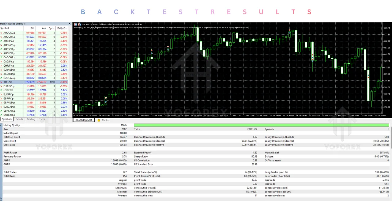 Broker Crying EA V1.0 MT5 2 Broker Crying EA V1.0 MT5