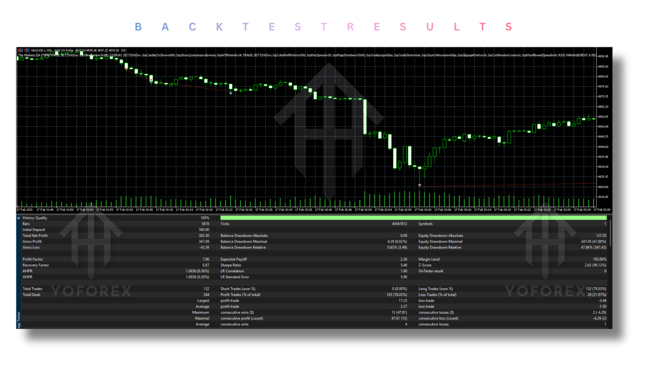 The Madness EA V2.2 MT5
