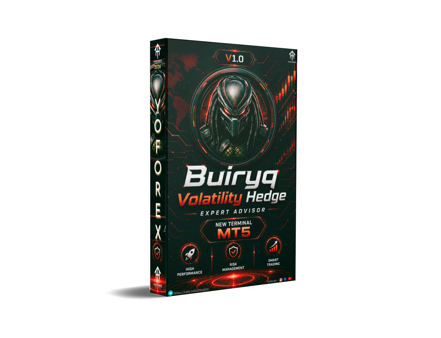 Buiryq Volatility Hedge EA V1.0 MT5